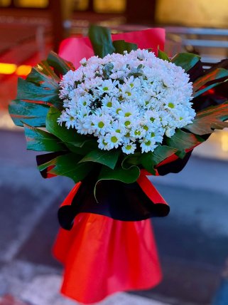 Kucak Dolusu Papatya, kütahya çiçek siparişi