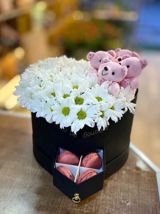 Kalp Kutuda Papatya Ayıcık ve Makaronlar