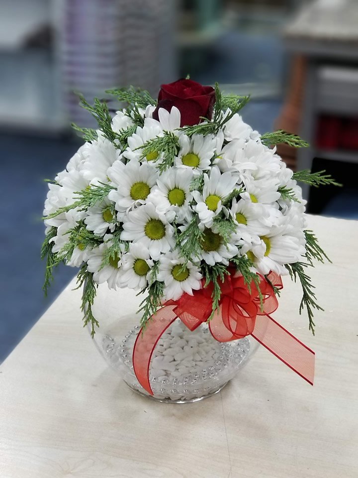 Fanusta Papatya ve Güller