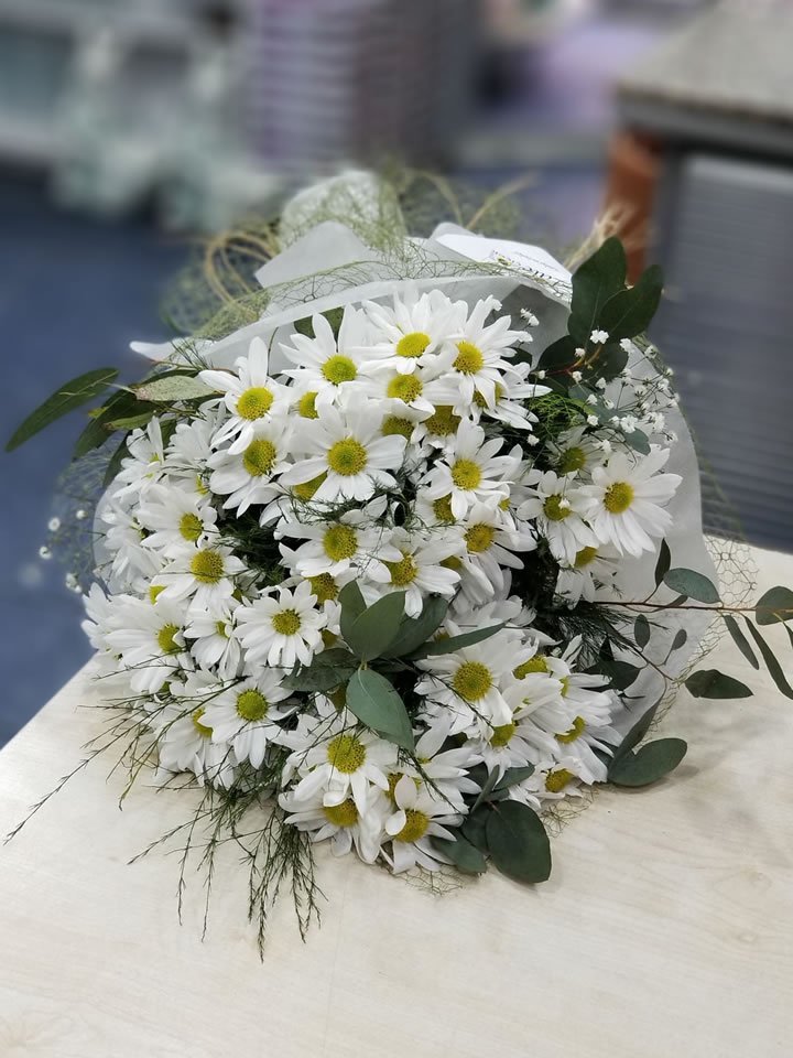 Beyaz Krizantemler - Kütahya Çiçek Siparişi