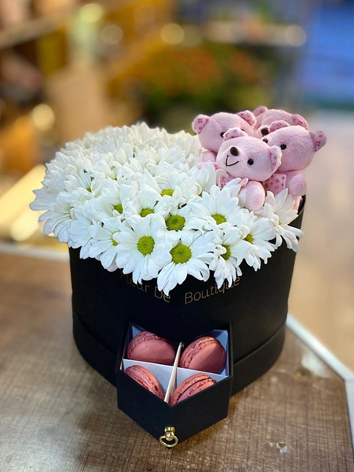 Kalp Kutuda Papatya Ayıcık ve Makaronlar