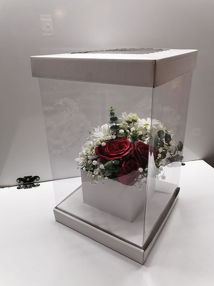 Kutuda Papatya ve Güller