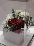 Çiçekçi - Kutuda Papatya ve Güller